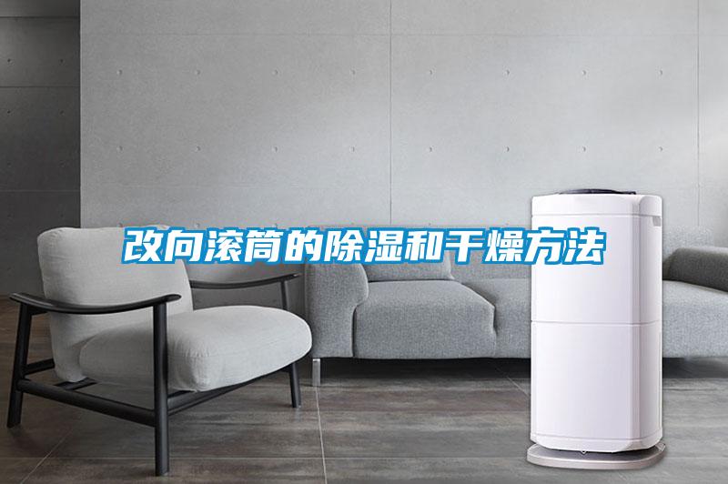 国产精品欧美激情视频 改向滚筒的除湿和干燥方法
