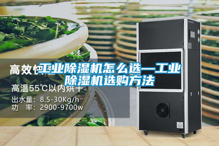 国产精品探花在线观看 工业除湿机怎么选—工业除湿机选购方法
