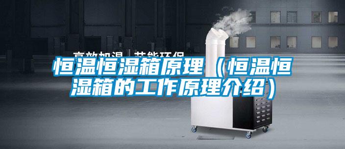 国产精品欧美激情视频 恒温恒湿箱原理（恒温恒湿箱的工作原理介绍）
