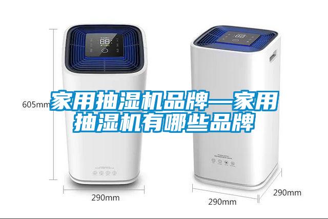 国产精品三级在线观看 家用抽湿机品牌—家用抽湿机有哪些品牌