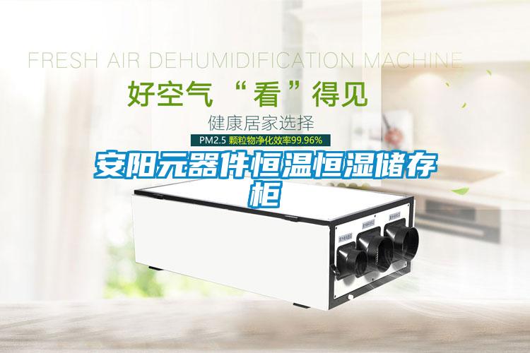 国产精品探花在线观看 安阳元器件恒温恒湿储存柜