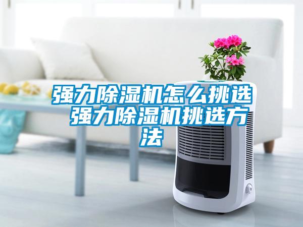 国产精品三级在线观看 强力除湿机怎么挑选 强力除湿机挑选方法