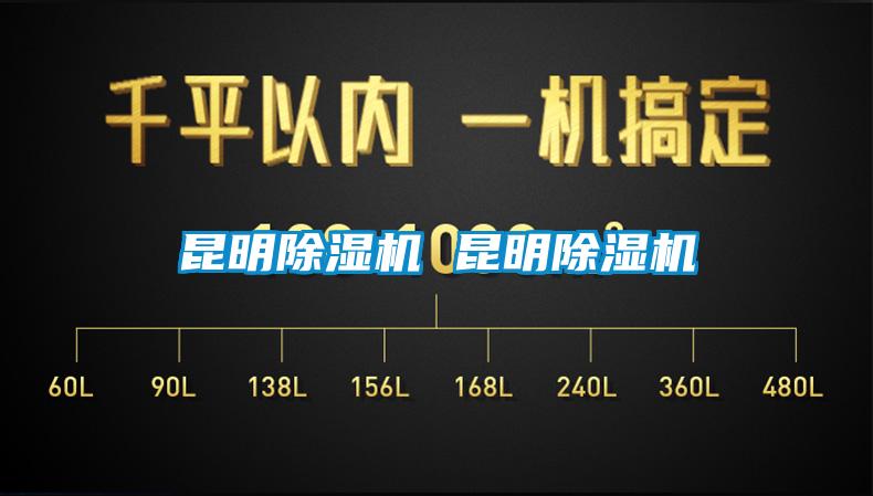 国产精品欧美激情视频 昆明除湿机 昆明除湿机