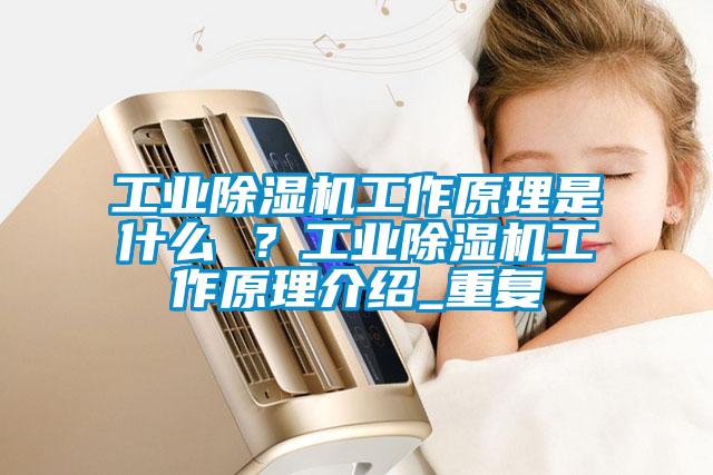 国产精品欧美激情视频 工业除湿机工作原理是什么 ？工业除湿机工作原理介绍_重复