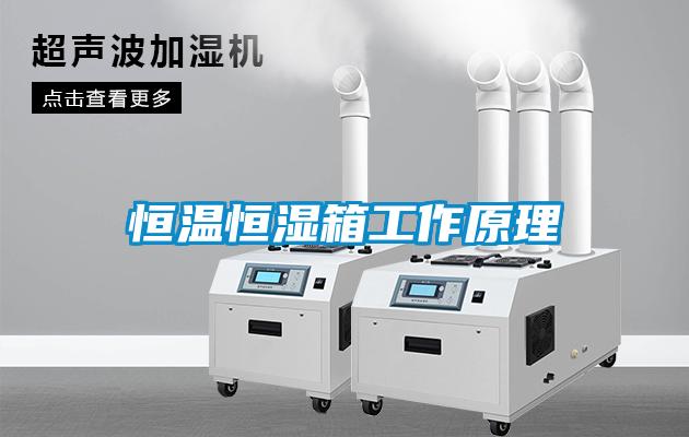 国产精品欧美激情视频 恒温恒湿箱工作原理