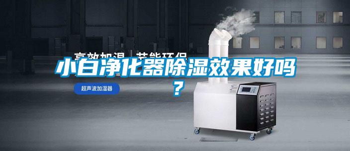 国产精品三级在线观看 小白净化器除湿效果好吗？