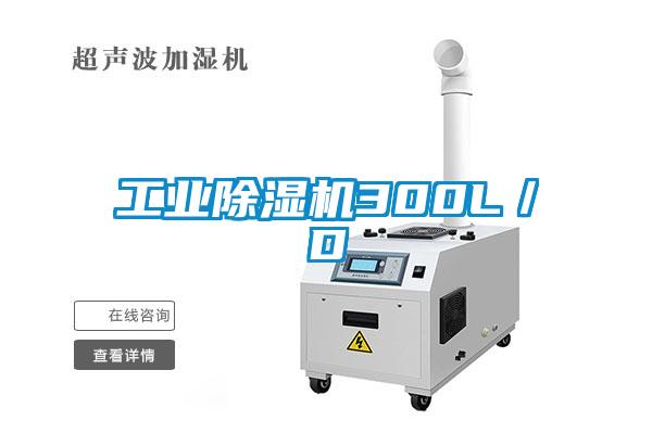 国产精品三级在线观看 工业除湿机300L／D