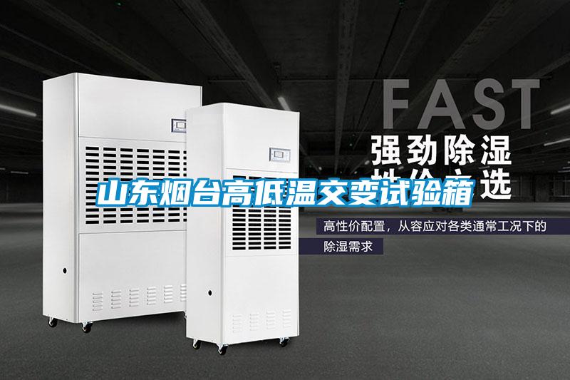 国产精品三级在线观看 山东烟台高低温交变试验箱