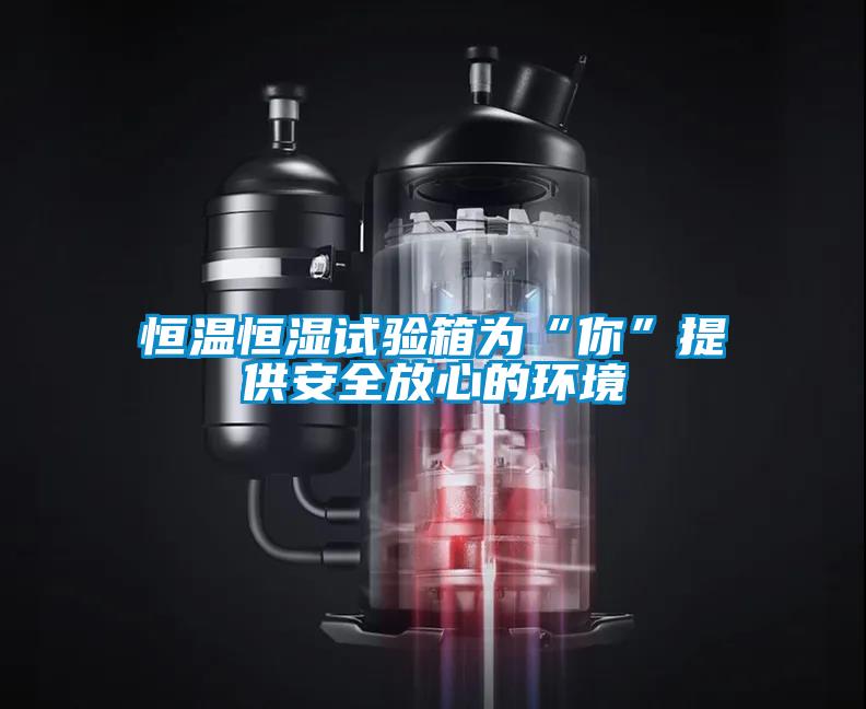 国产精品三级在线观看 恒温恒湿试验箱为“你”提供安全放心的环境