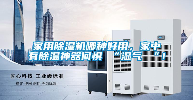 国产精品探花在线观看 家用除湿机哪种好用，家中有除湿神器何惧 “湿气 “！
