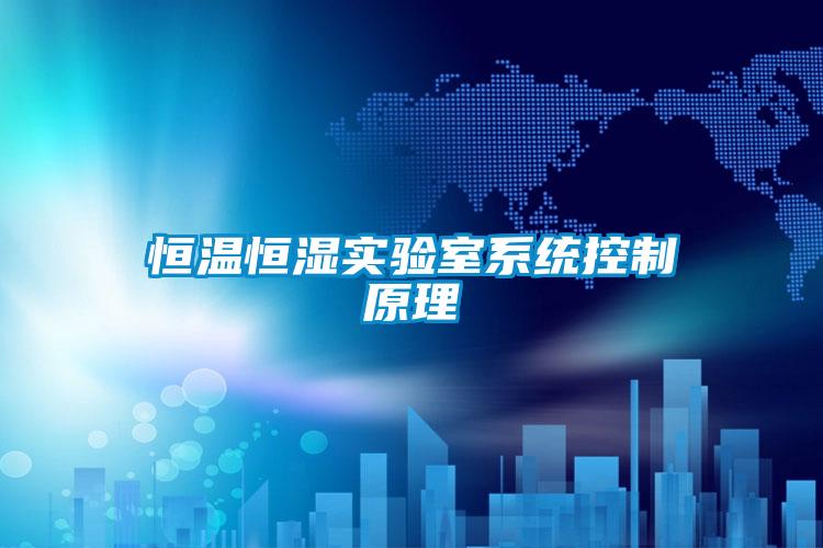 国产精品探花在线观看 恒温恒湿实验室系统控制原理