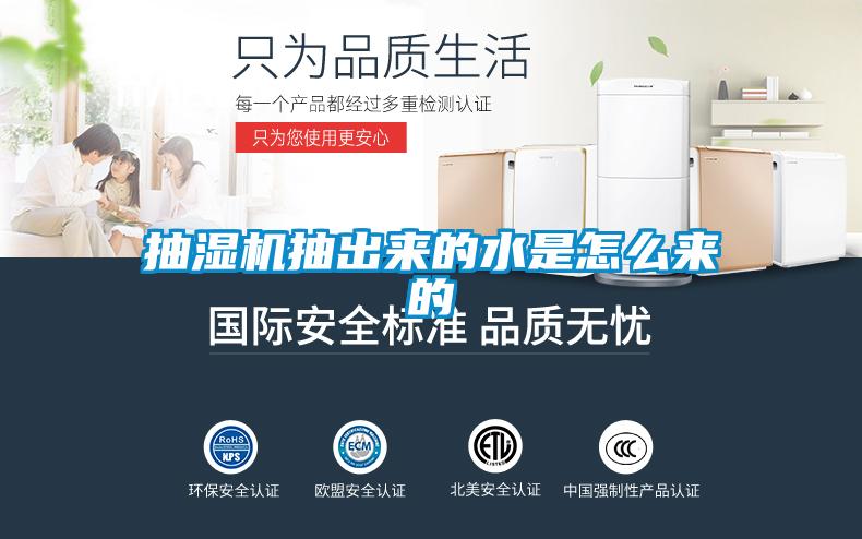 国产精品欧美激情视频 抽湿机抽出来的水是怎么来的