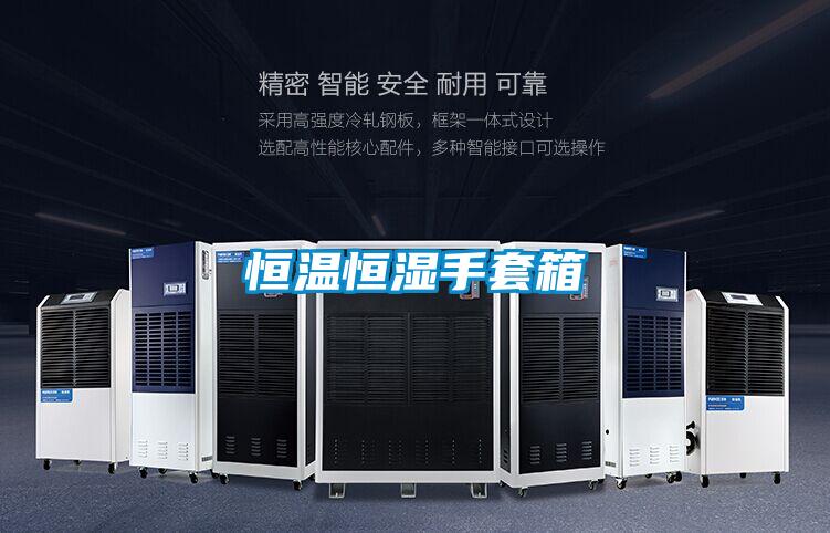 国产精品三级在线观看 恒温恒湿手套箱