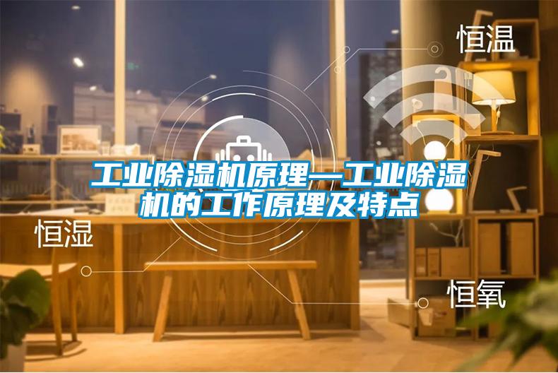 国产精品欧美激情视频 工业除湿机原理—工业除湿机的工作原理及特点