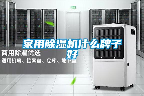 国产精品探花在线观看 家用除湿机什么牌子好