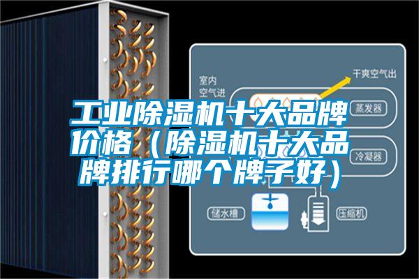 国产精品三级在线观看 工业除湿机十大品牌价格（除湿机十大品牌排行哪个牌子好）