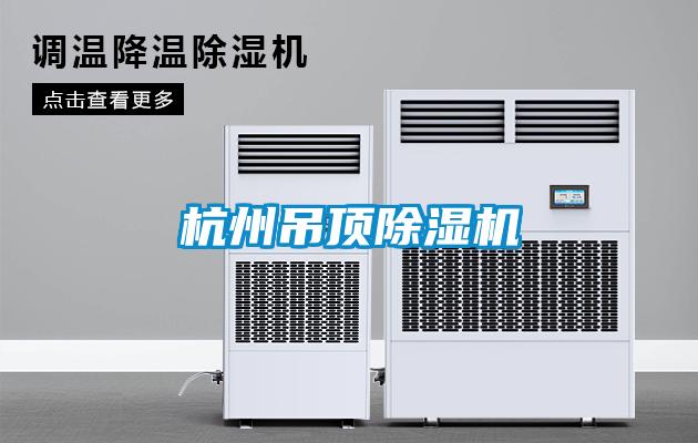 国产精品探花在线观看 杭州吊顶除湿机