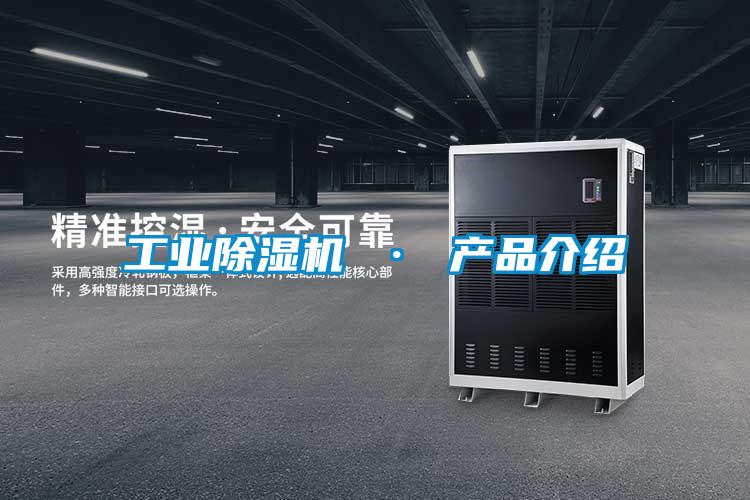国产精品三级在线观看 工业除湿机 · 产品介绍