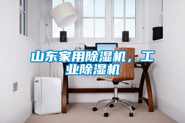 国产精品三级在线观看 山东家用除湿机，工业除湿机