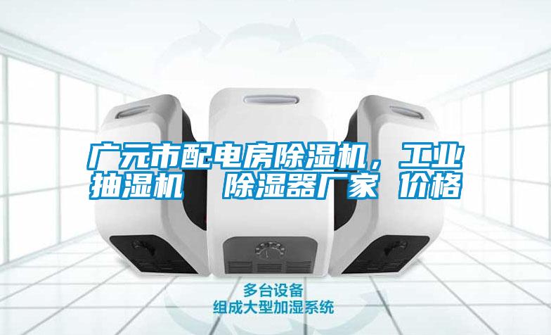 国产精品欧美激情视频 广元市配电房除湿机，工业抽湿机  除湿器厂家 价格