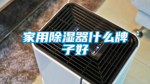 国产精品三级在线观看 家用除湿器什么牌子好