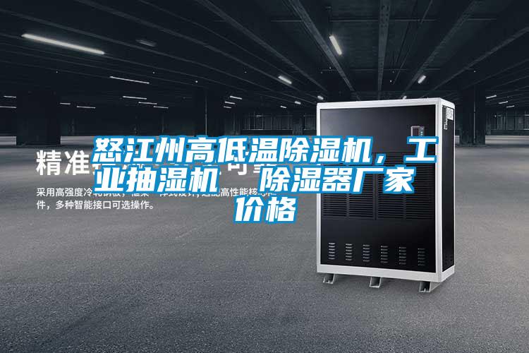 国产精品欧美激情视频 怒江州高低温除湿机，工业抽湿机  除湿器厂家 价格