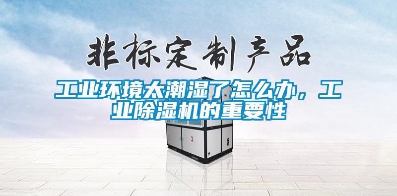 国产精品探花在线观看 工业环境太潮湿了怎么办，工业除湿机的重要性
