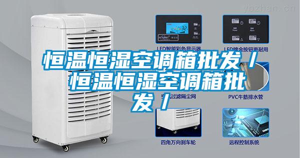 国产精品三级在线观看 恒温恒湿空调箱批发／ 恒温恒湿空调箱批发／