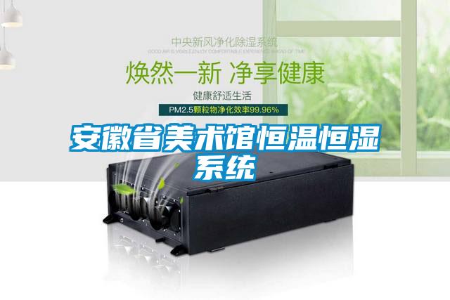 国产精品三级在线观看 安徽省美术馆恒温恒湿系统
