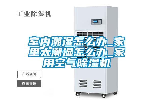 国产精品三级在线观看 室内潮湿怎么办_家里太潮湿怎么办_家用空气除湿机