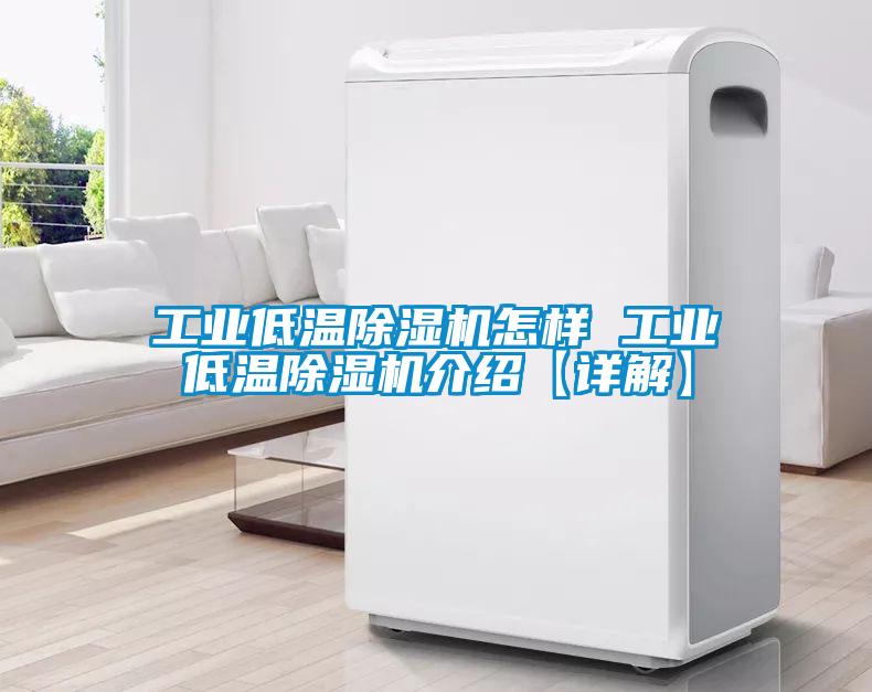 国产精品欧美激情视频 工业低温除湿机怎样 工业低温除湿机介绍【详解】