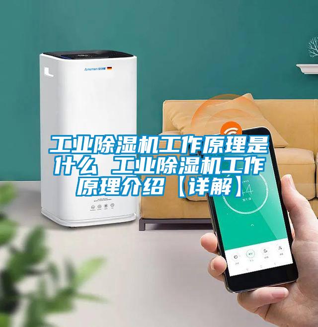 国产精品三级在线观看 工业除湿机工作原理是什么 工业除湿机工作原理介绍【详解】