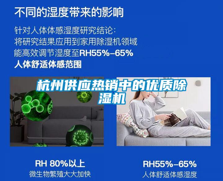国产精品欧美激情视频 杭州供应热销中的优质除湿机