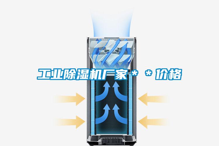 国产精品三级在线观看 工业除湿机厂家＊＊价格