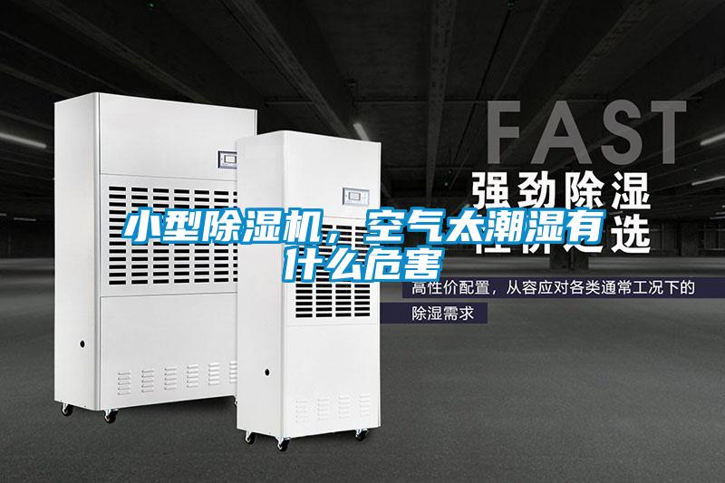 国产精品欧美激情视频 小型除湿机，空气太潮湿有什么危害