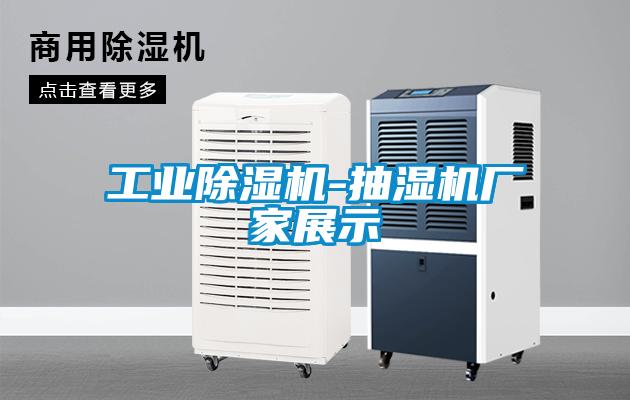 国产精品三级在线观看 工业除湿机-抽湿机厂家展示
