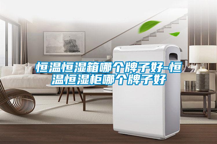 国产精品欧美激情视频 恒温恒湿箱哪个牌子好-恒温恒湿柜哪个牌子好