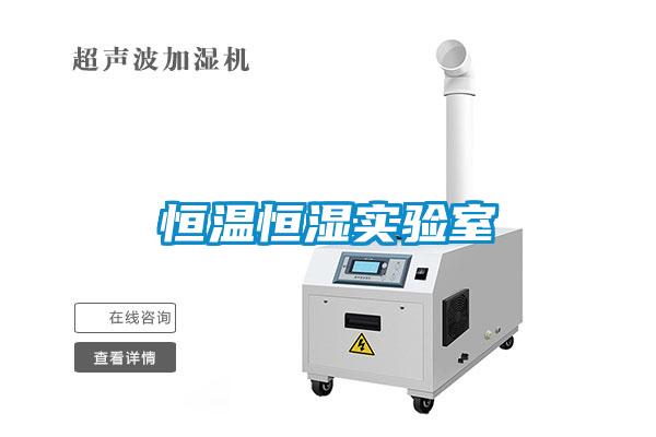 国产精品三级在线观看 恒温恒湿实验室