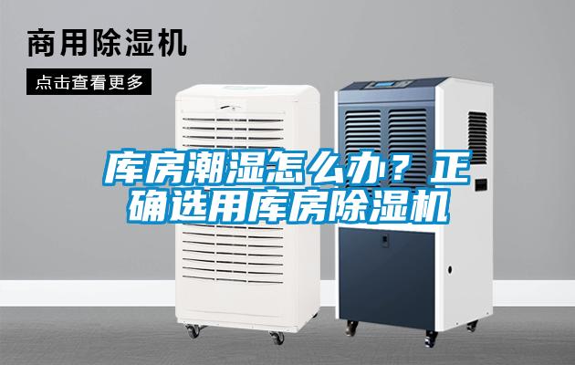国产精品欧美激情视频 库房潮湿怎么办？正确选用库房除湿机