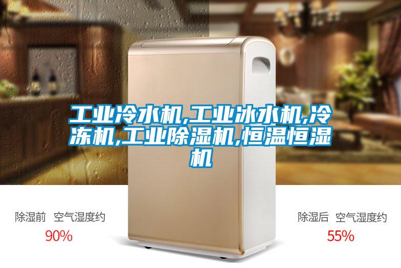 国产精品探花在线观看 工业冷水机,工业冰水机,冷冻机,工业除湿机,恒温恒湿机