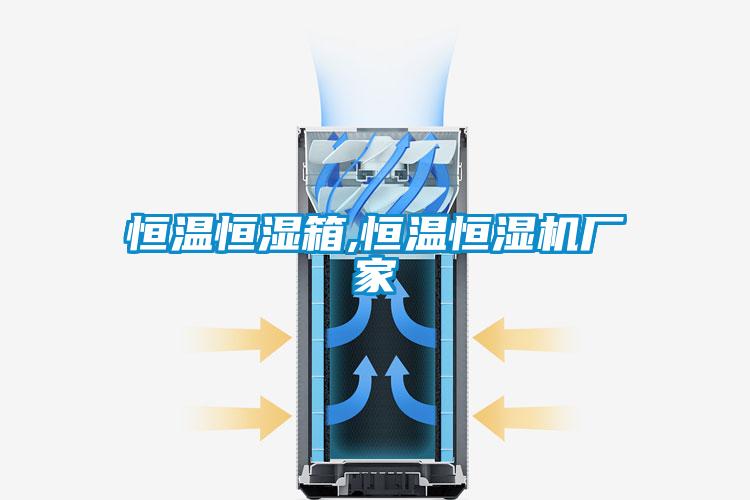 国产精品欧美激情视频 恒温恒湿箱,恒温恒湿机厂家