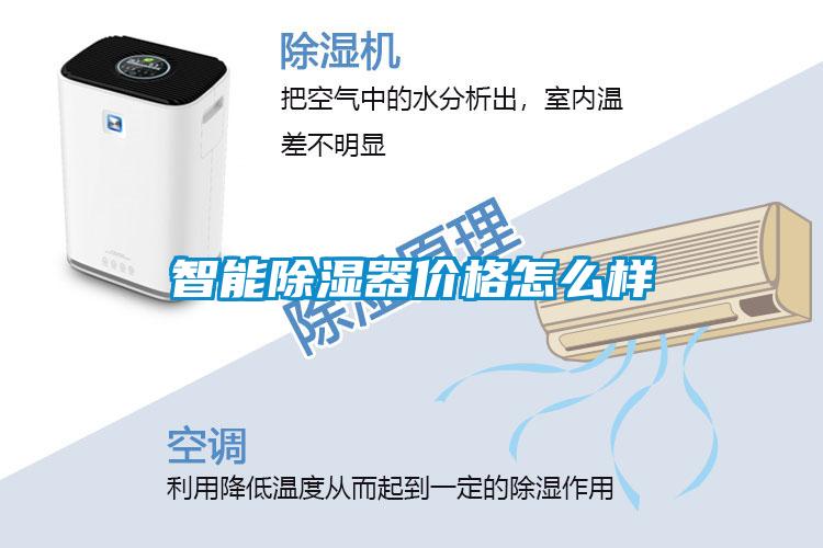 国产精品探花在线观看 智能除湿器价格怎么样
