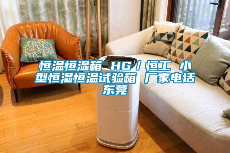 国产精品探花在线观看 恒温恒湿箱 HG／恒工 小型恒湿恒温试验箱 厂家电话东莞