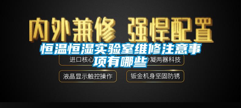 国产精品三级在线观看 恒温恒湿实验室维修注意事项有哪些