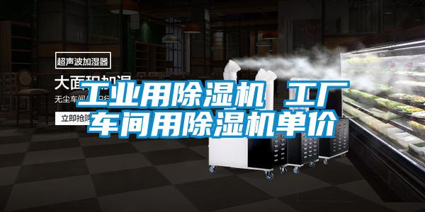国产精品欧美激情视频 工业用除湿机 工厂车间用除湿机单价