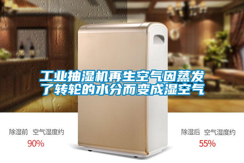 国产精品探花在线观看 工业抽湿机再生空气因蒸发了转轮的水分而变成湿空气