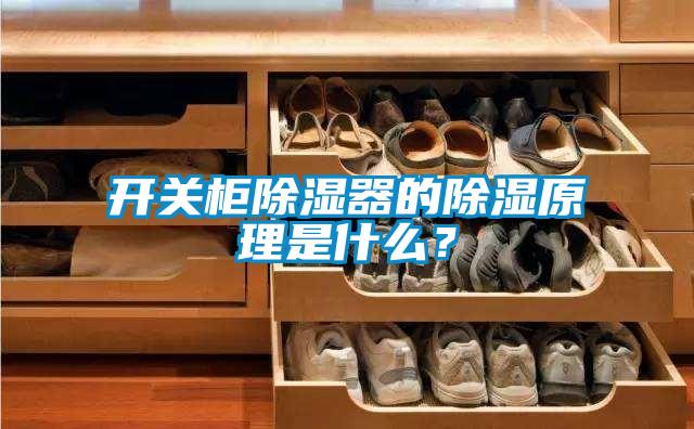 国产精品欧美激情视频 开关柜除湿器的除湿原理是什么？