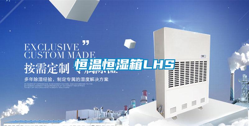 国产精品探花在线观看 恒温恒湿箱LHS