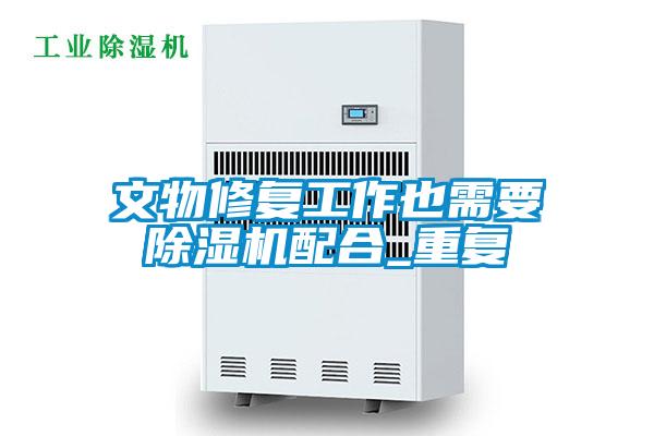 国产精品欧美激情视频 文物修复工作也需要除湿机配合_重复