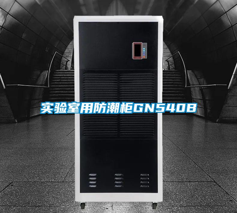 国产精品欧美激情视频 实验室用防潮柜GN540B